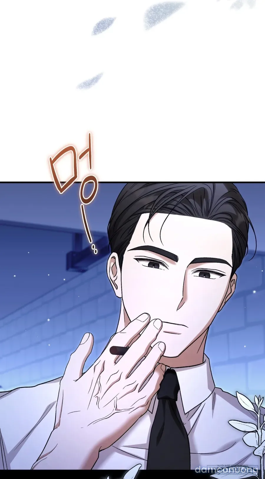 Cô Tiểu Thư Quá Đỗi Tò Mò 