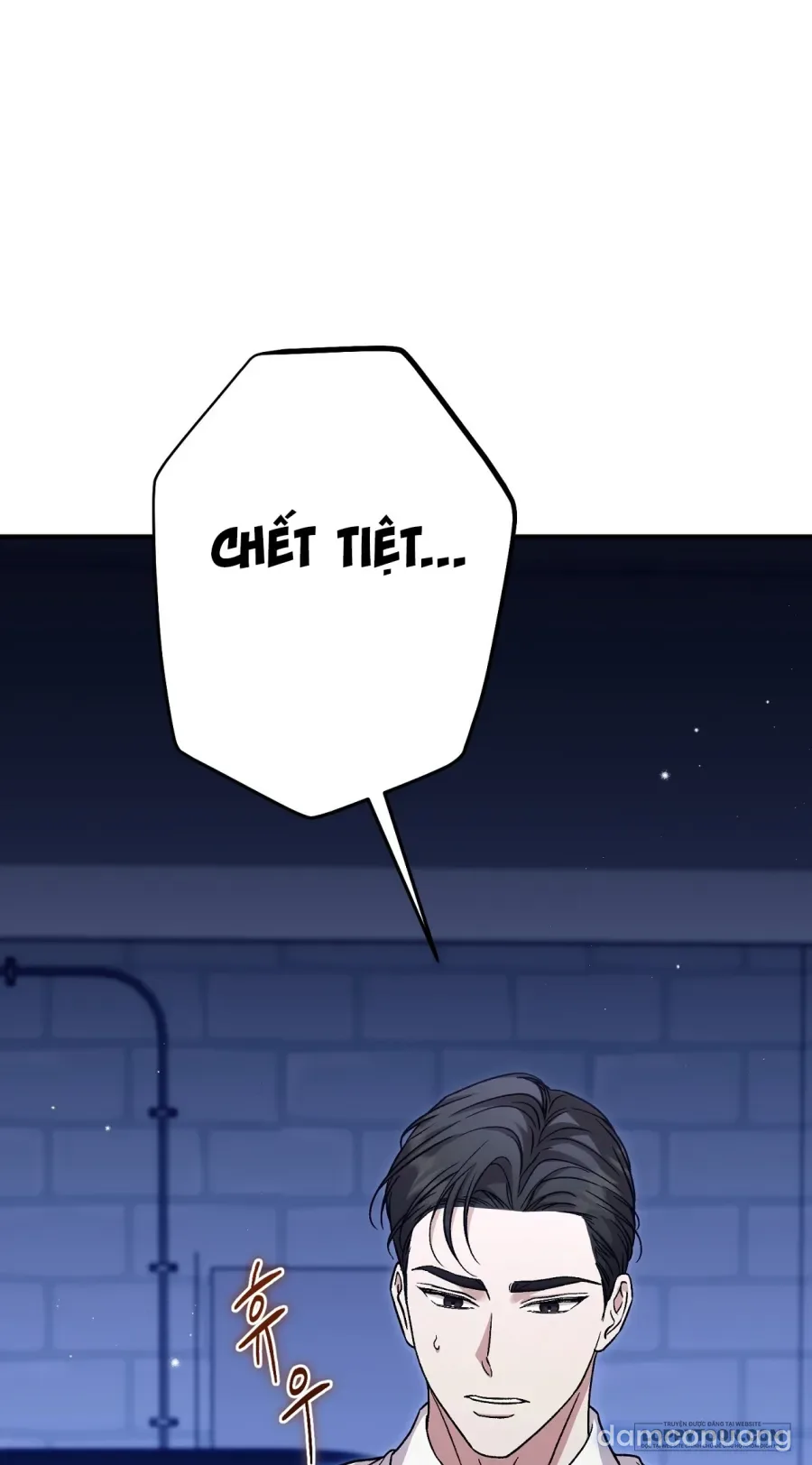 Cô Tiểu Thư Quá Đỗi Tò Mò 