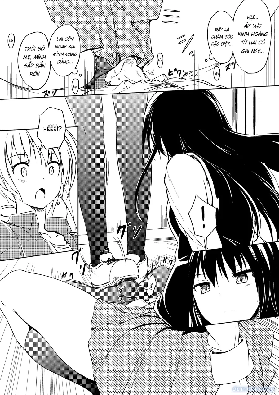 Nibai! 2 