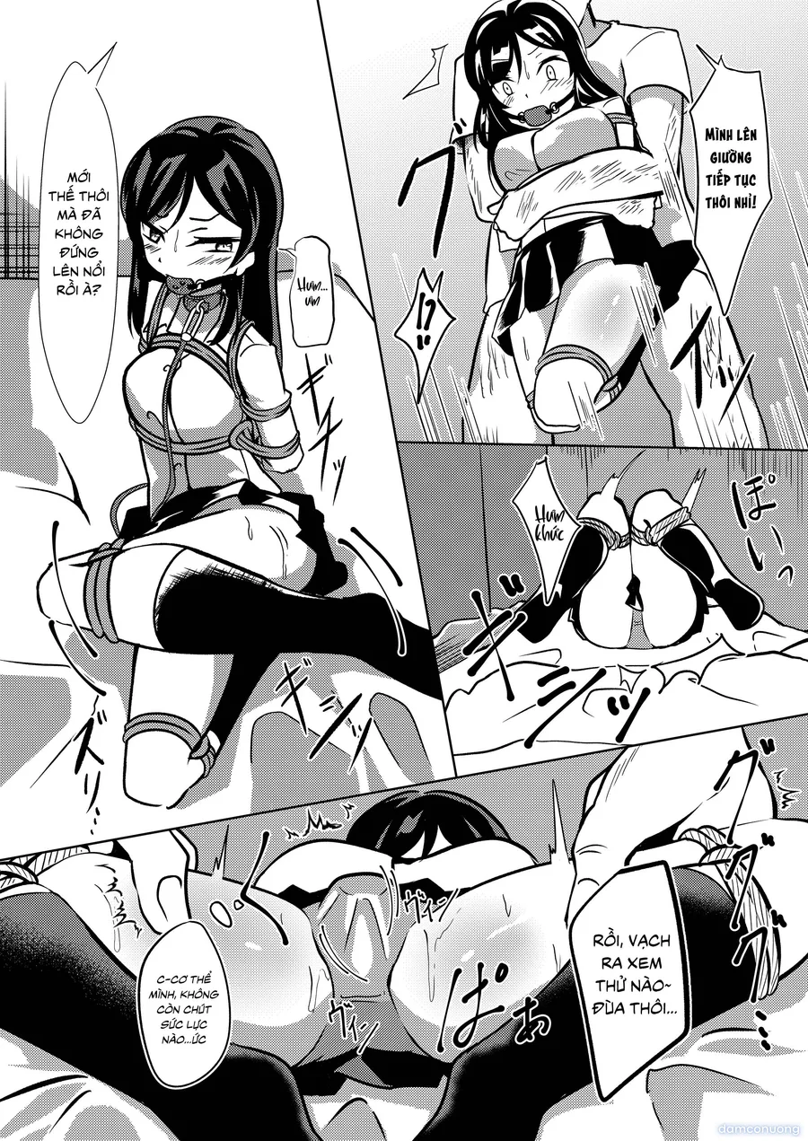 Seido gokko 