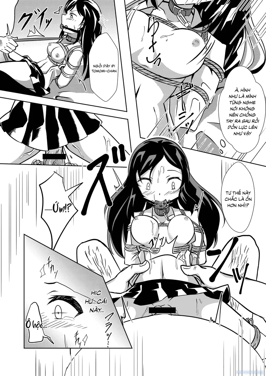 Seido gokko 
