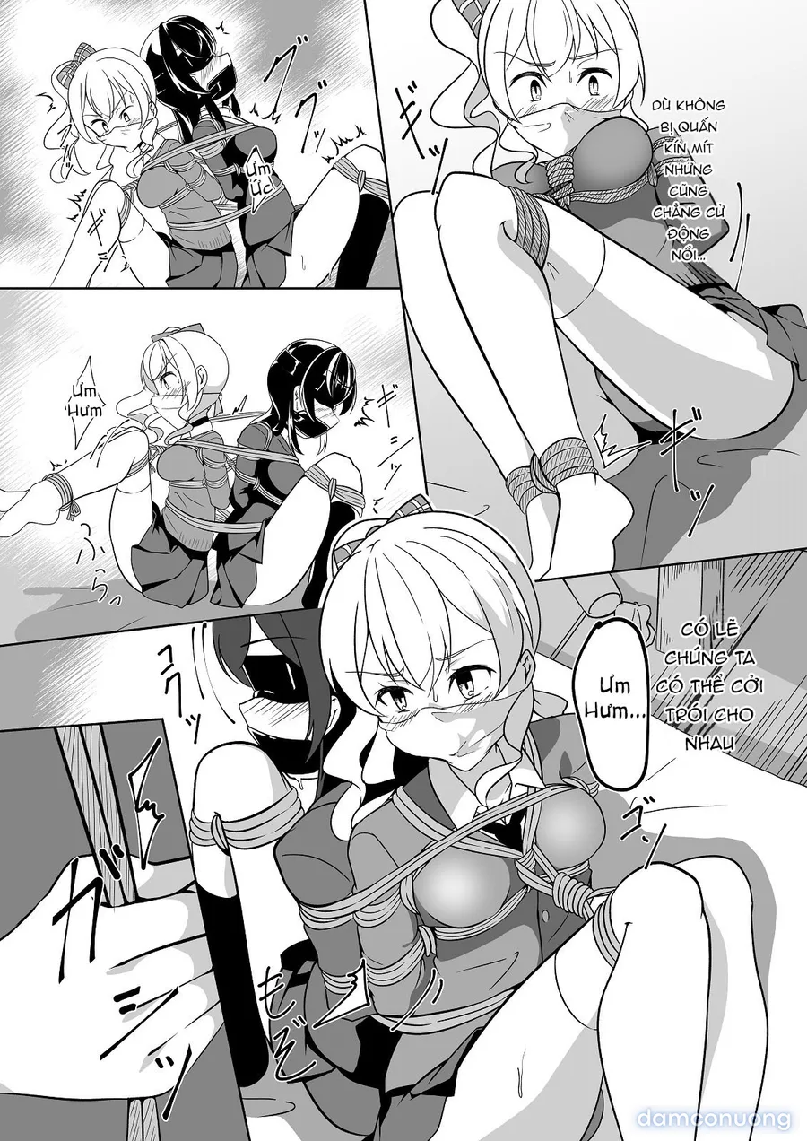 Seido gokko 