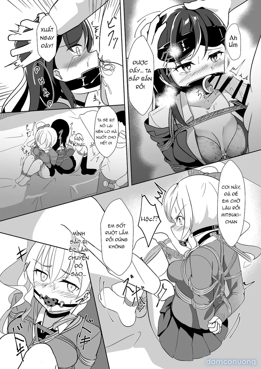 Seido gokko 