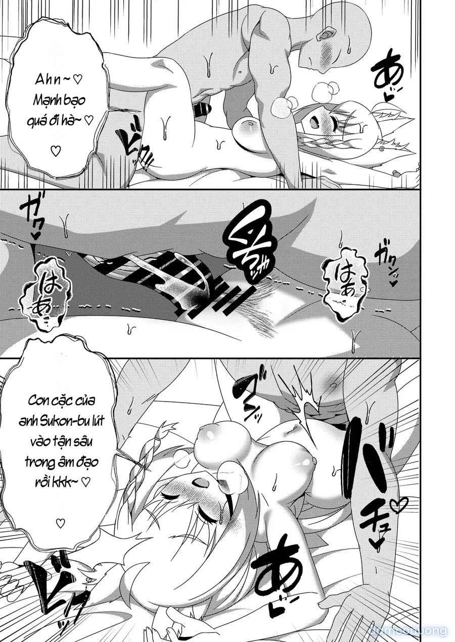 Daisuki Kitsune Soushuuhen 