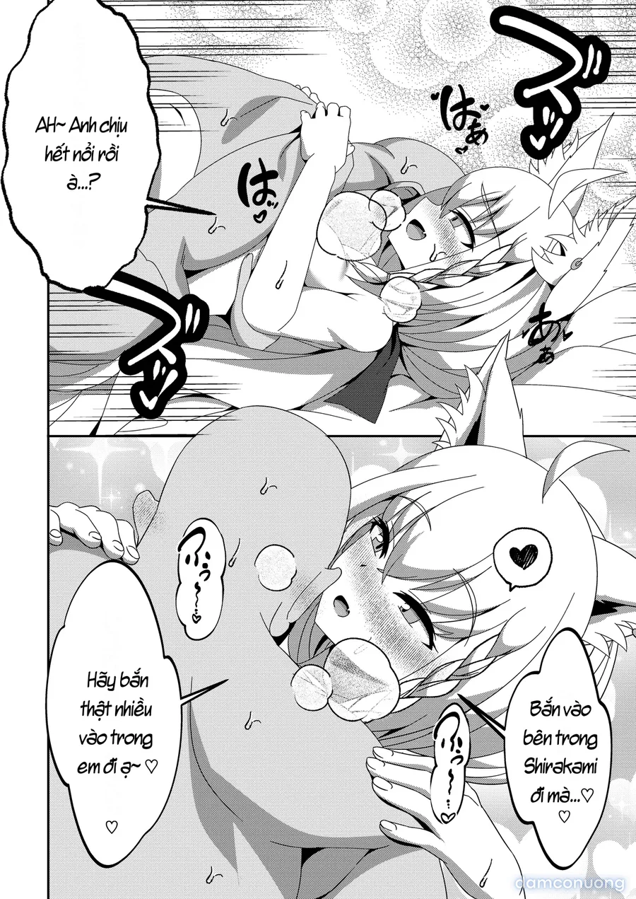 Daisuki Kitsune Soushuuhen 