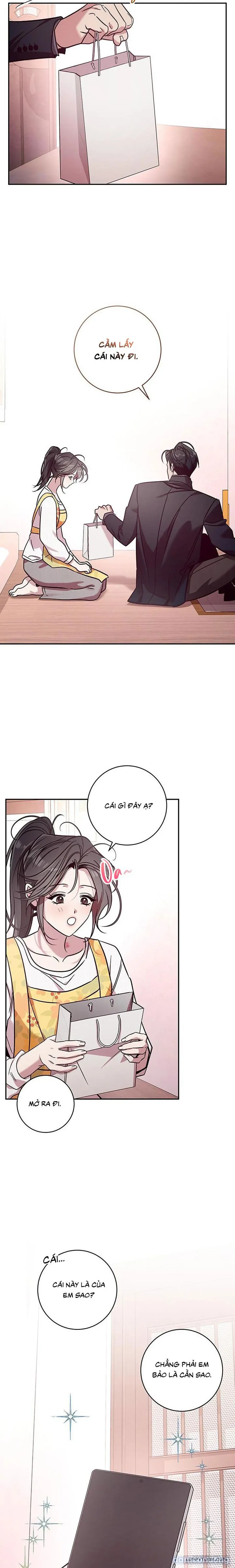 Đừng Bảo Đây Là Nàng Tiên Ốc Nhé?! 