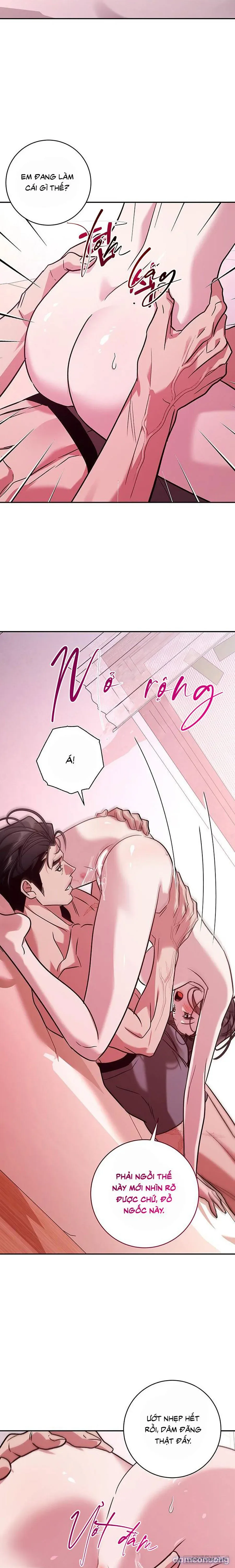 Đừng Bảo Đây Là Nàng Tiên Ốc Nhé?! 