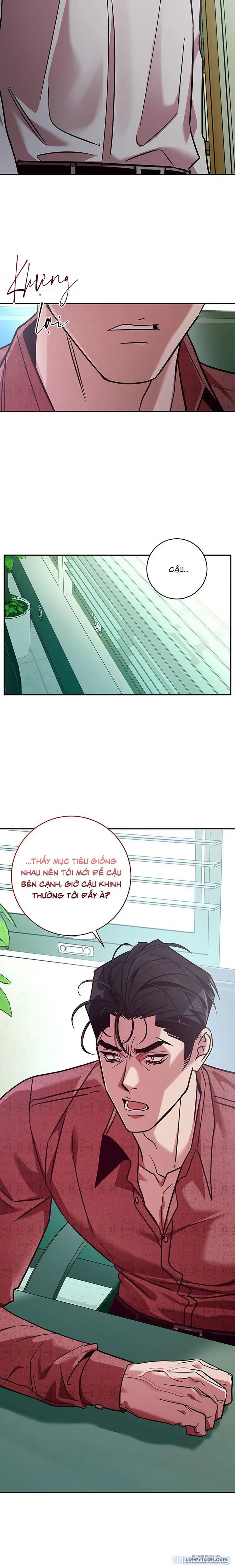 Đừng Bảo Đây Là Nàng Tiên Ốc Nhé?! 