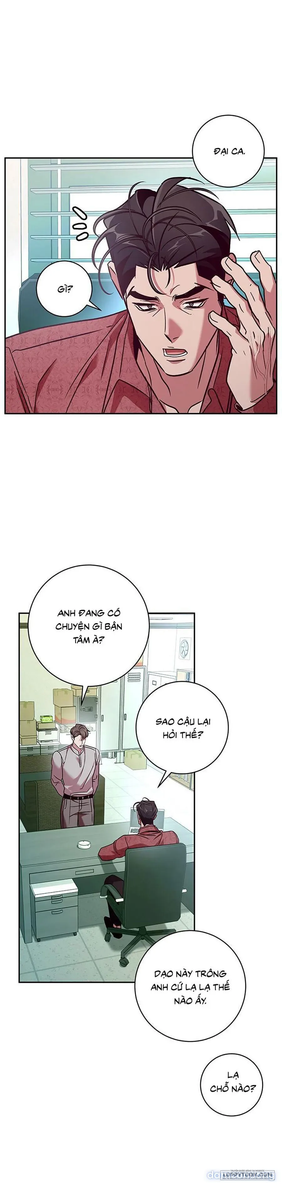 Đừng Bảo Đây Là Nàng Tiên Ốc Nhé?! 