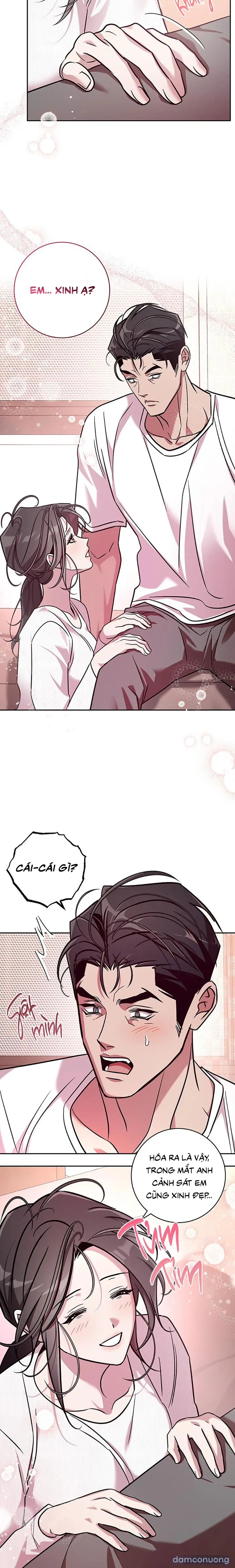 Đừng Bảo Đây Là Nàng Tiên Ốc Nhé?! 