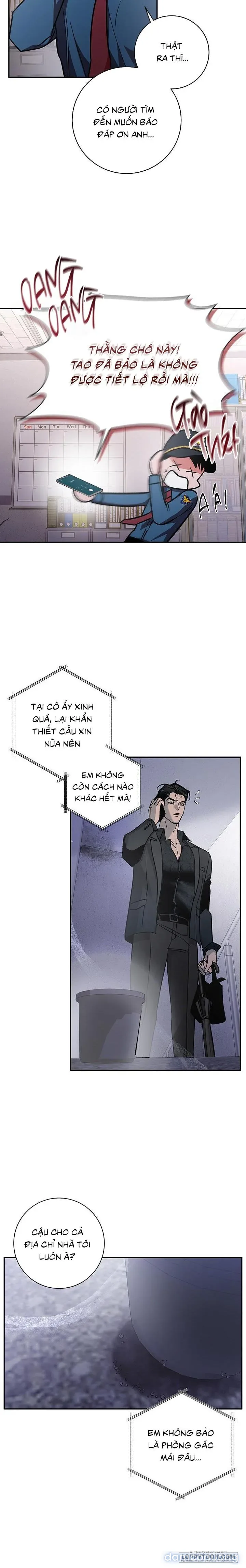 Đừng Bảo Đây Là Nàng Tiên Ốc Nhé?! 