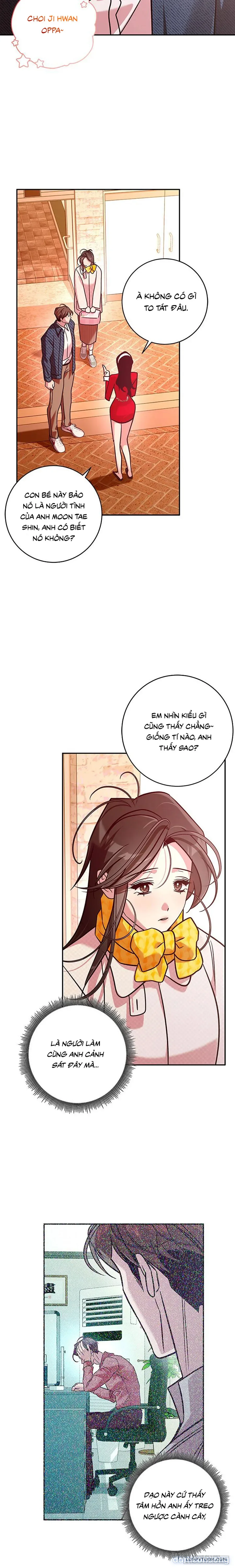 Đừng Bảo Đây Là Nàng Tiên Ốc Nhé?! 