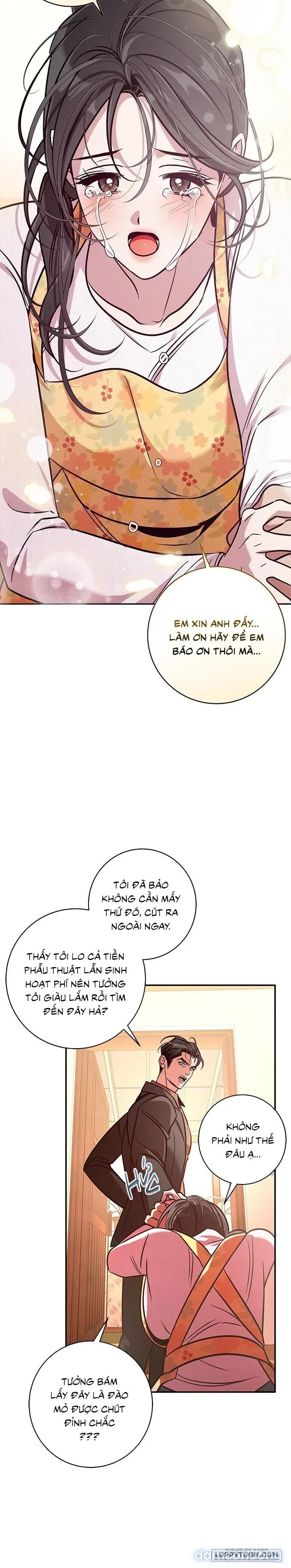 Đừng Bảo Đây Là Nàng Tiên Ốc Nhé?! 