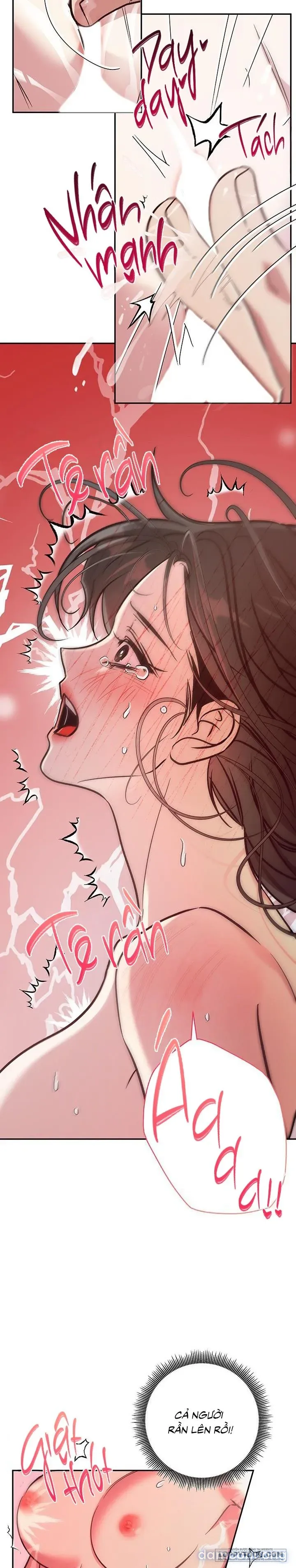 Đừng Bảo Đây Là Nàng Tiên Ốc Nhé?! 