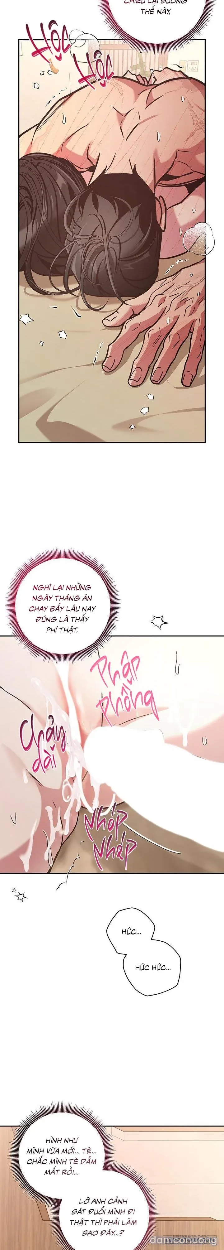 Đừng Bảo Đây Là Nàng Tiên Ốc Nhé?! 