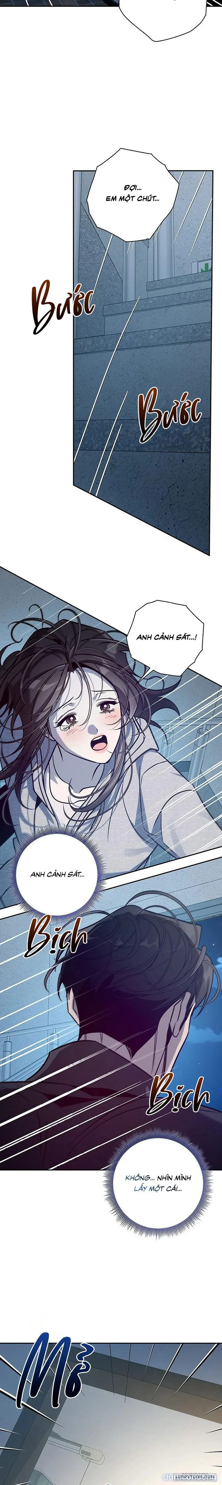 Đừng Bảo Đây Là Nàng Tiên Ốc Nhé?! 