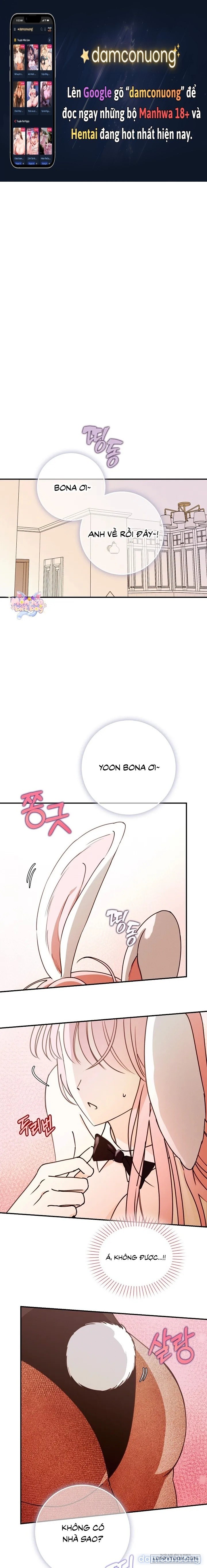 Bunny On! 