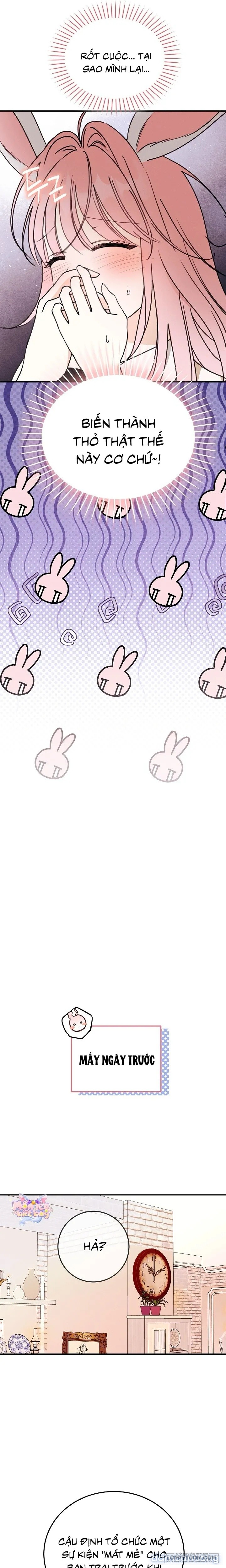 Bunny On! 