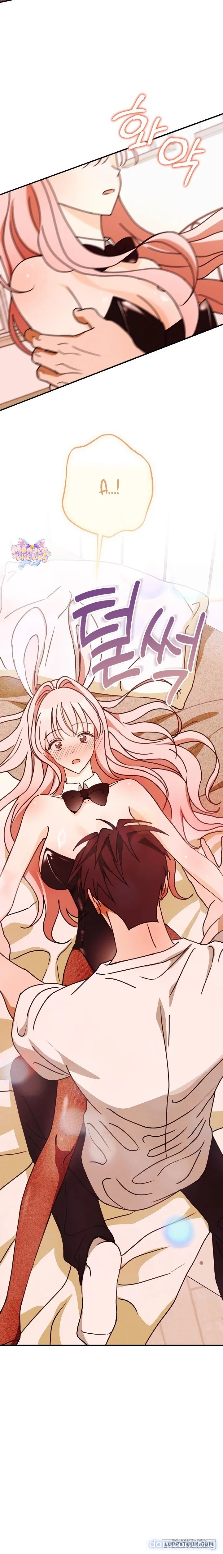 Bunny On! 