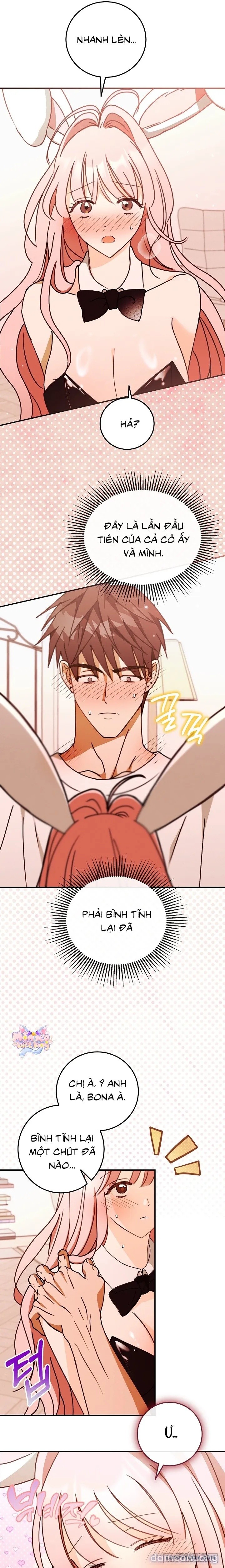 Bunny On! 