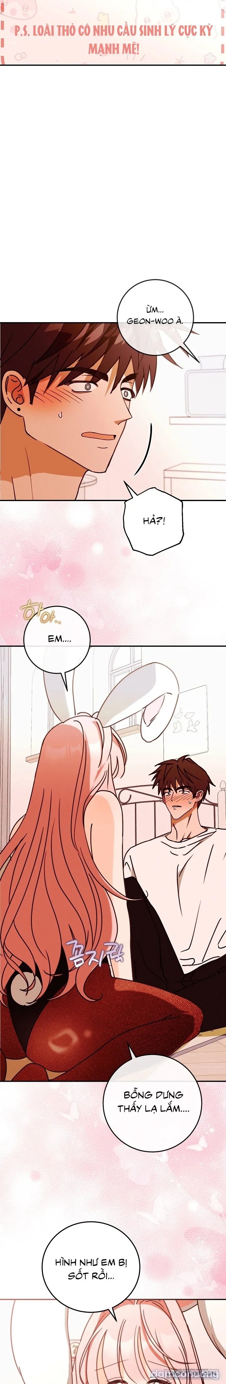 Bunny On! 