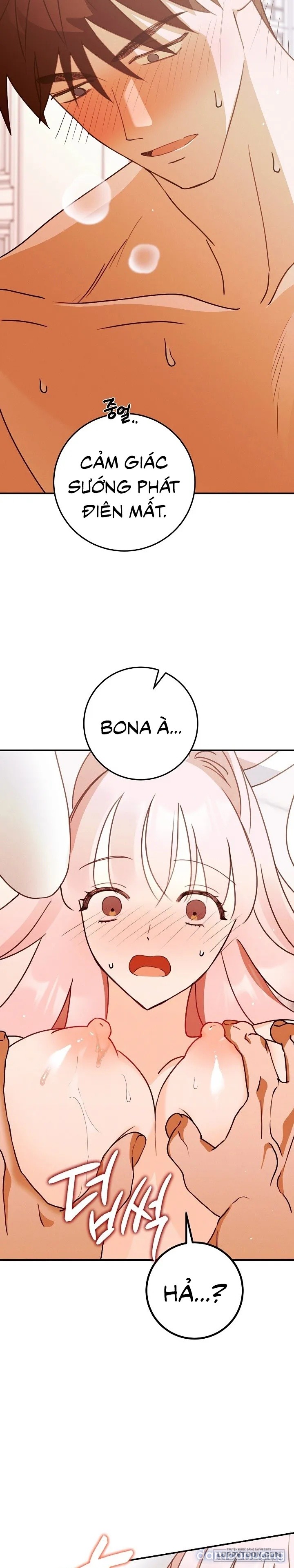 Bunny On! 