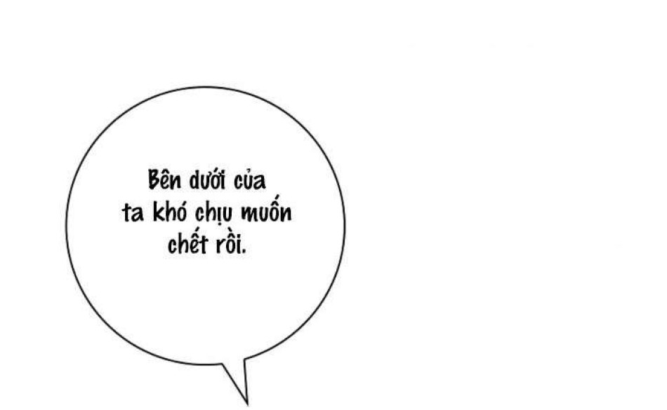 Cánh Hoa Ướt Đẫm Của Thánh Nữ 
