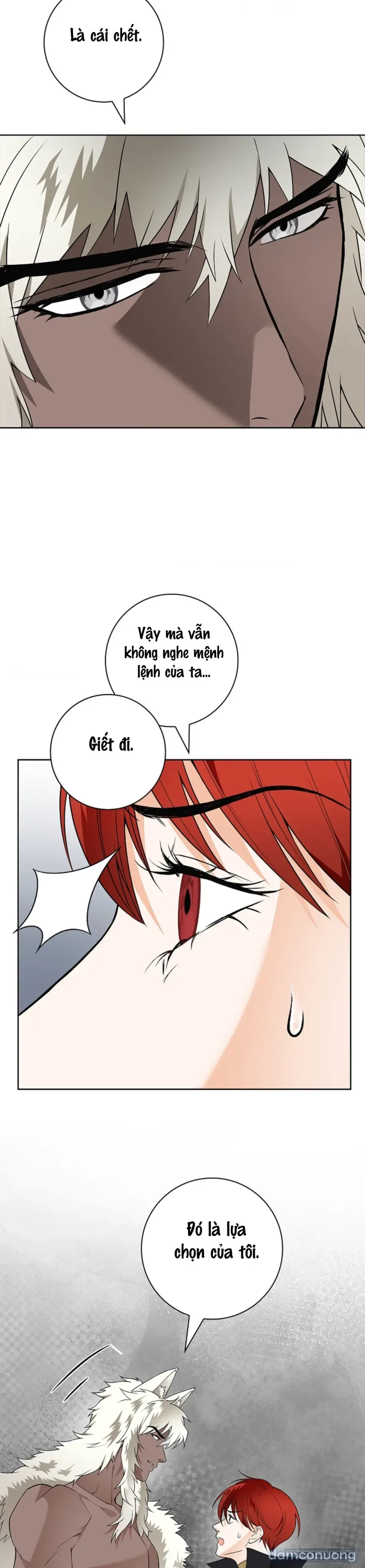 Cánh Hoa Ướt Đẫm Của Thánh Nữ 
