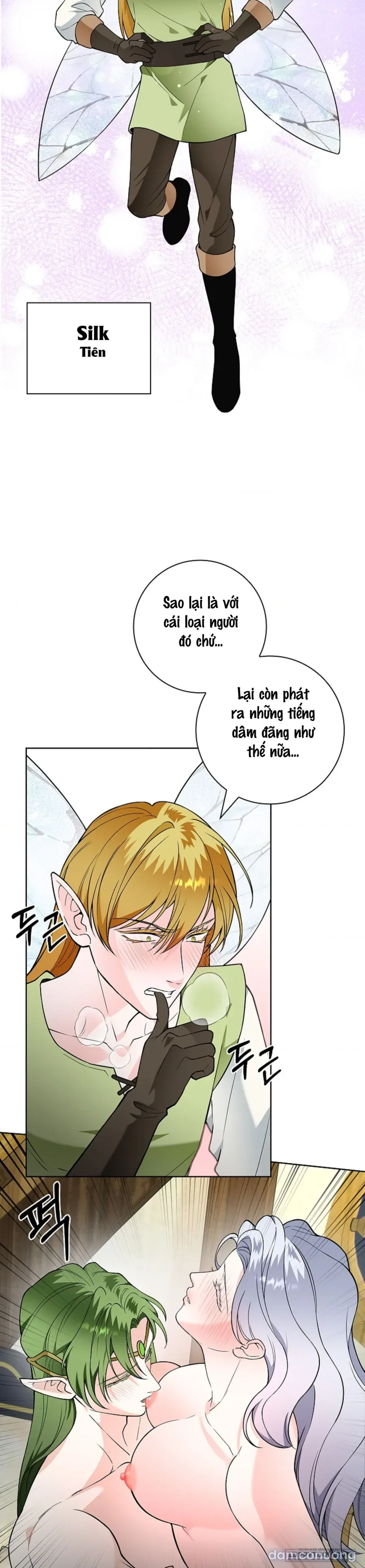 Cánh Hoa Ướt Đẫm Của Thánh Nữ 