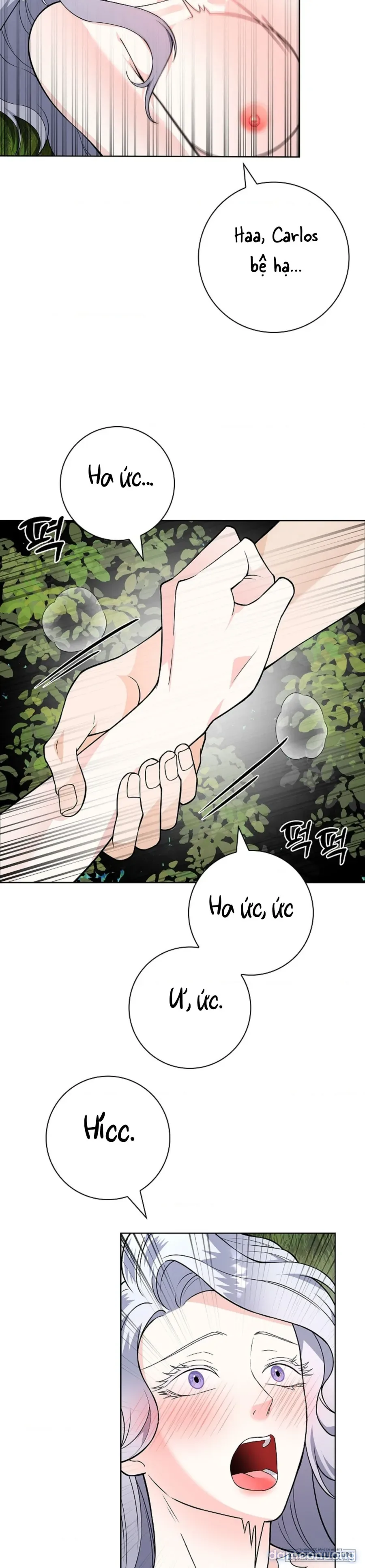 Cánh Hoa Ướt Đẫm Của Thánh Nữ 