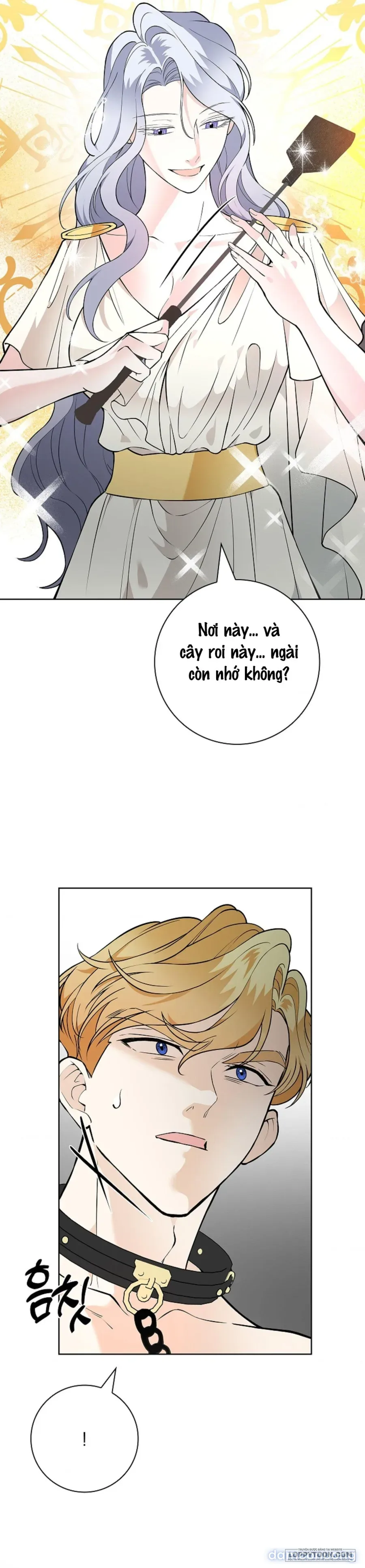 Cánh Hoa Ướt Đẫm Của Thánh Nữ 
