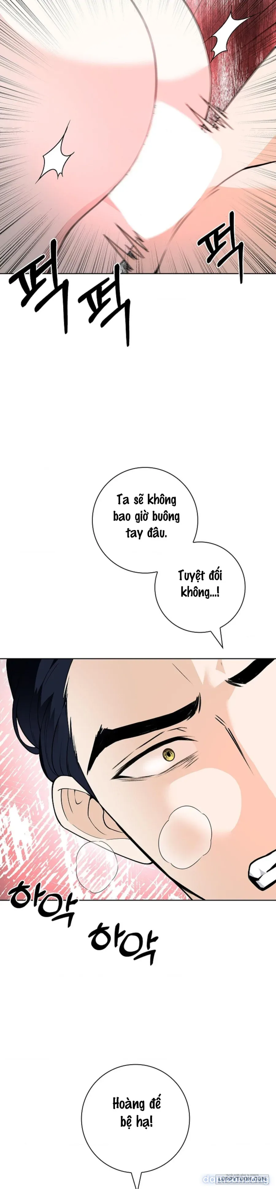 Cánh Hoa Ướt Đẫm Của Thánh Nữ 
