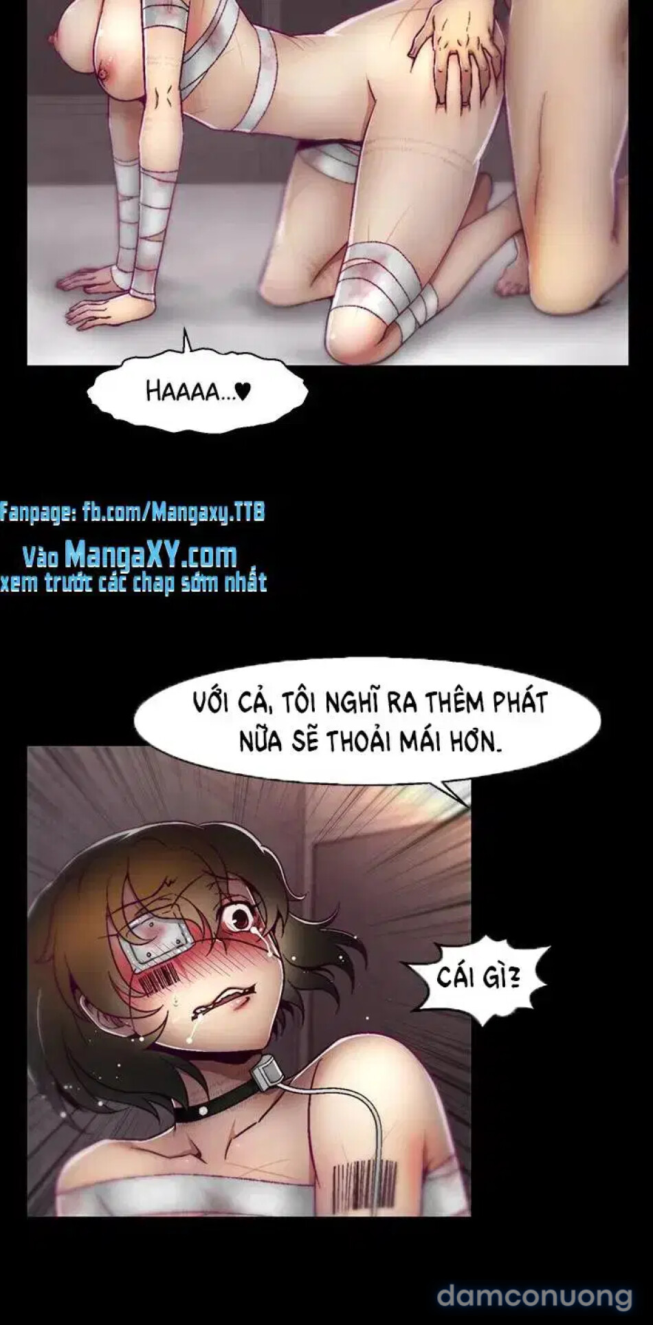 Trại chăn nuôi loài người 