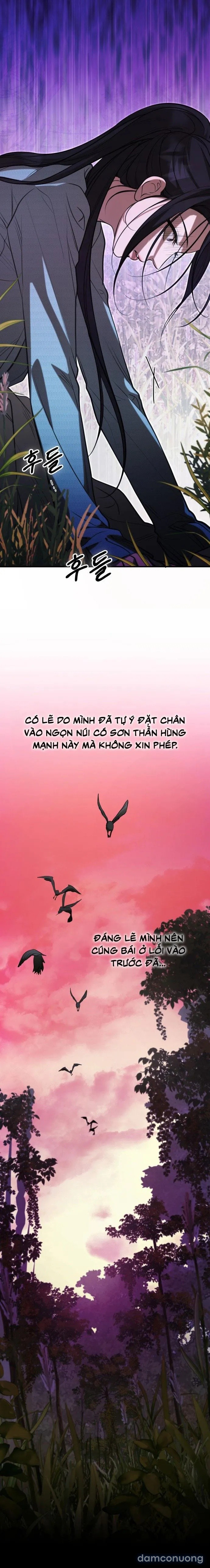 Tiêu Bản 