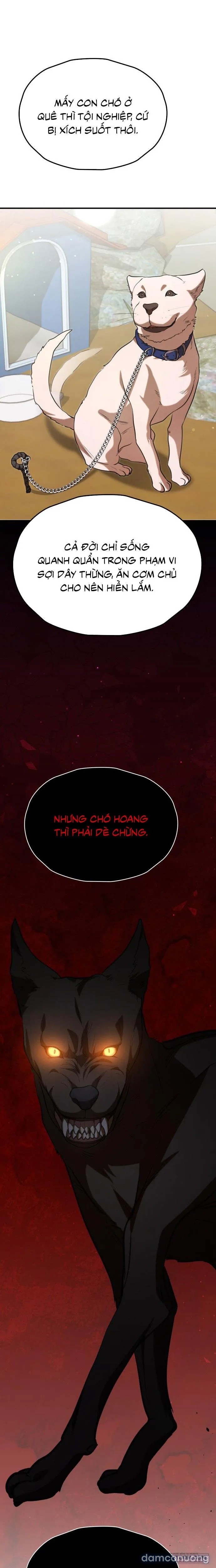 Tiêu Bản 