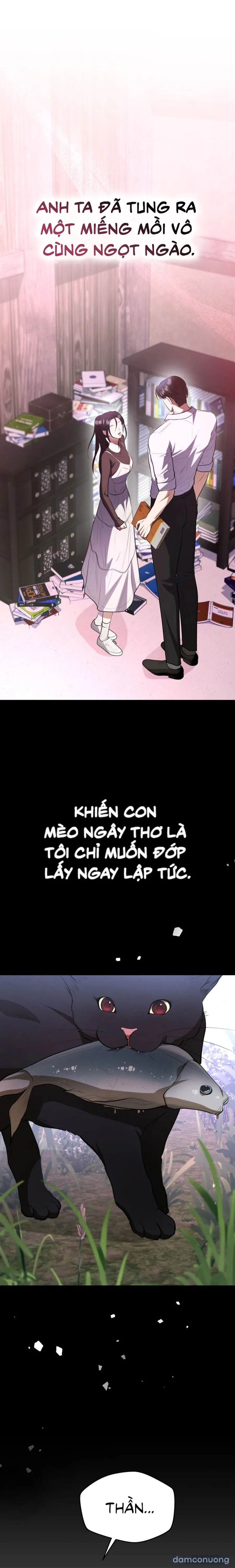 Tiêu Bản 