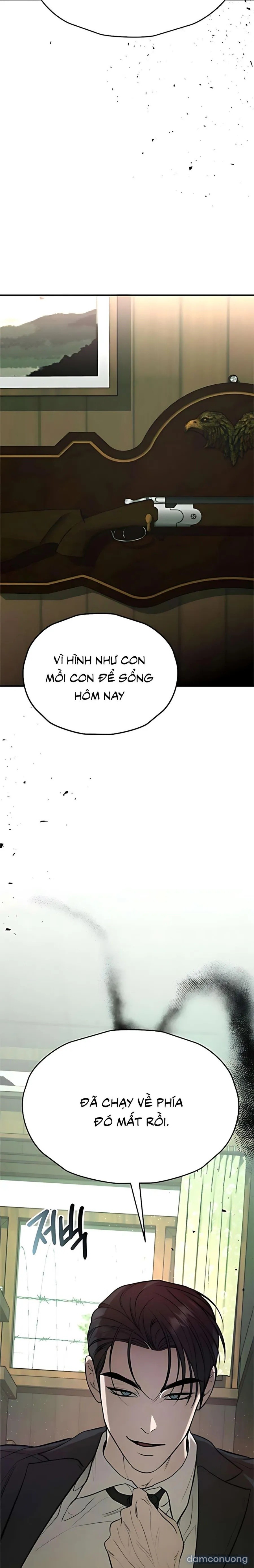 Tiêu Bản 