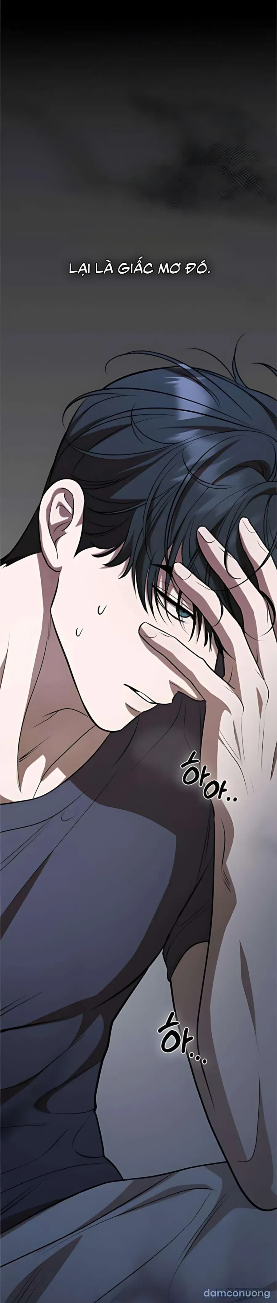 Tiêu Bản 