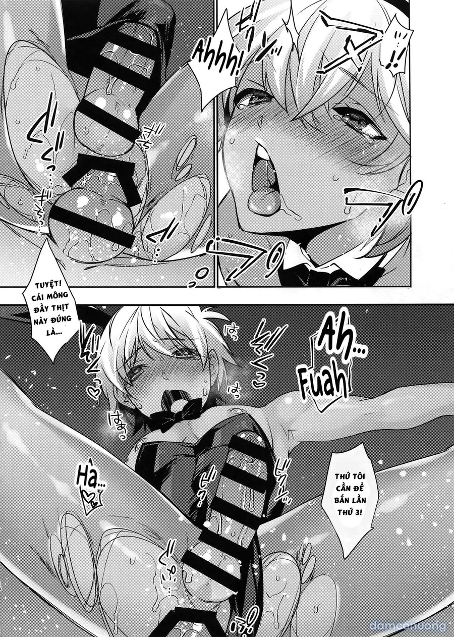 Bunny Boys 