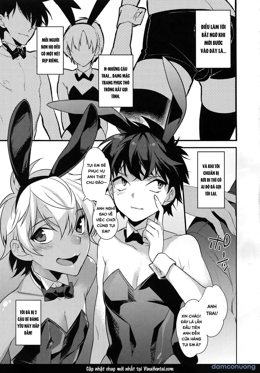 Bunny Boys 