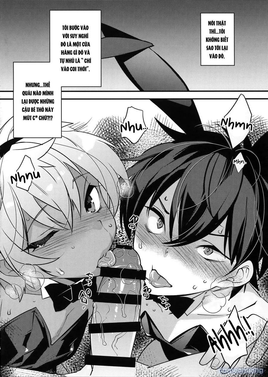Bunny Boys 