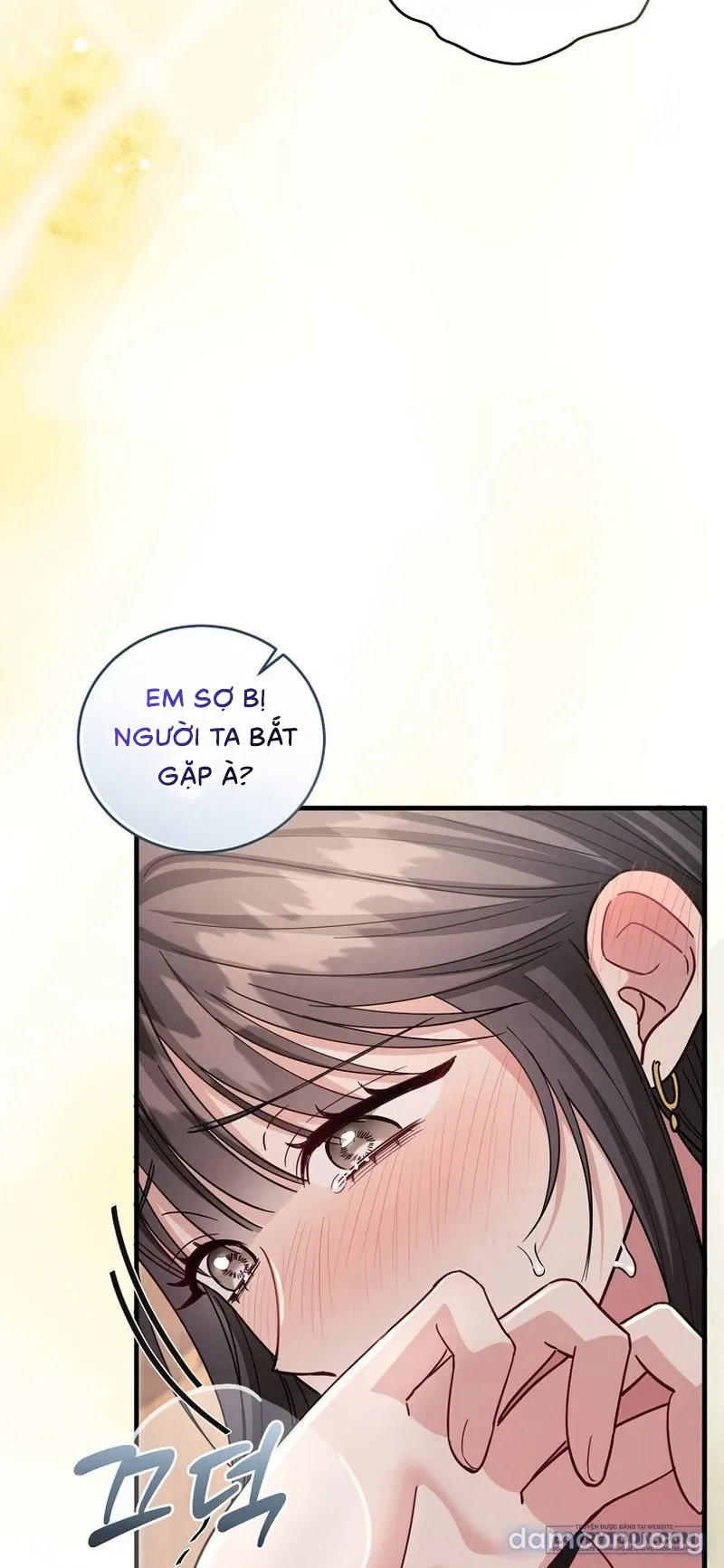 Mùa Xuân Của Shin Yu 