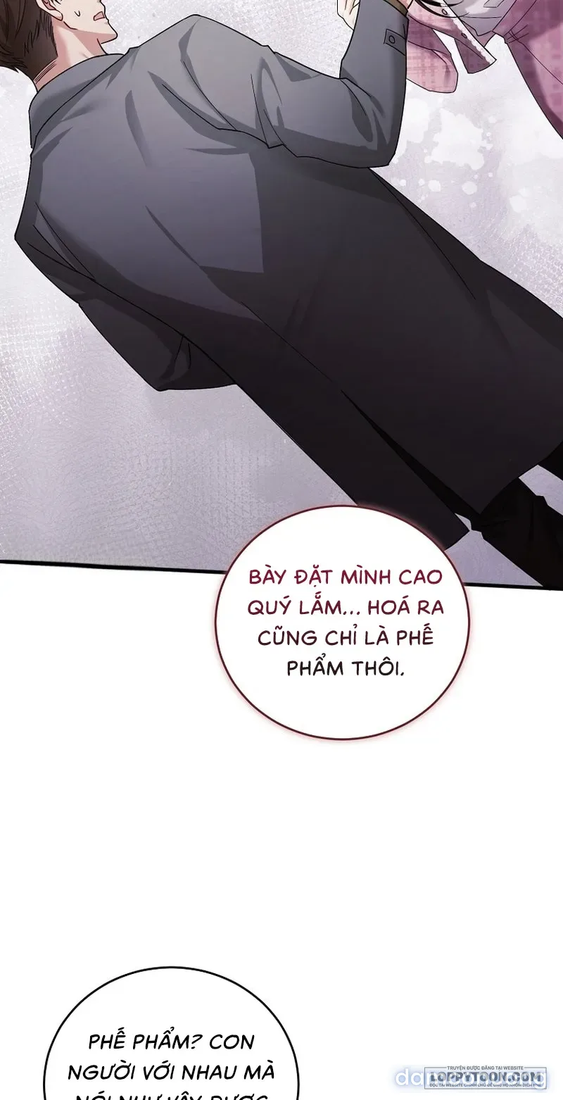 Mùa Xuân Của Shin Yu 