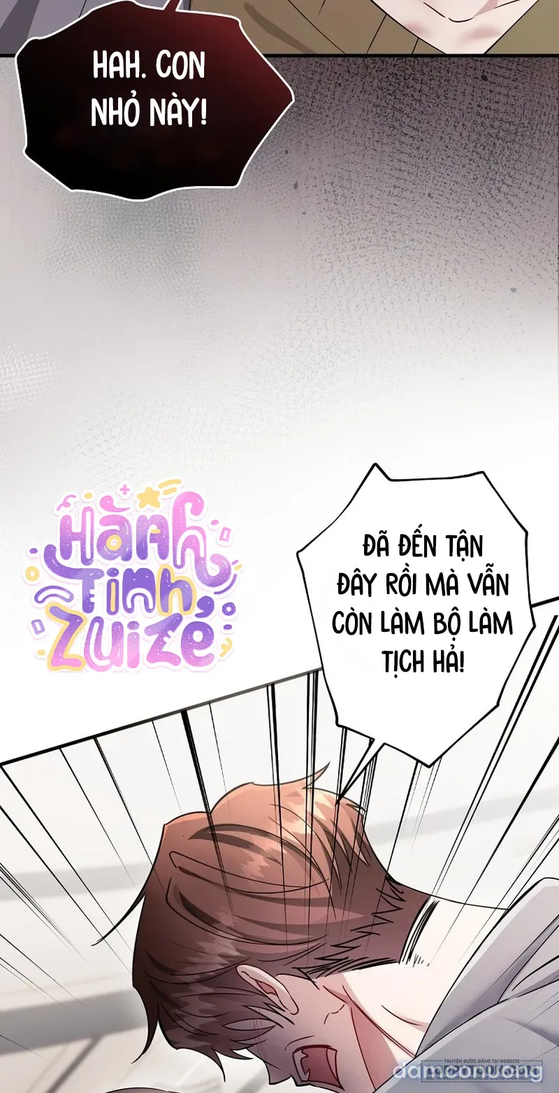 Mùa Xuân Của Shin Yu 