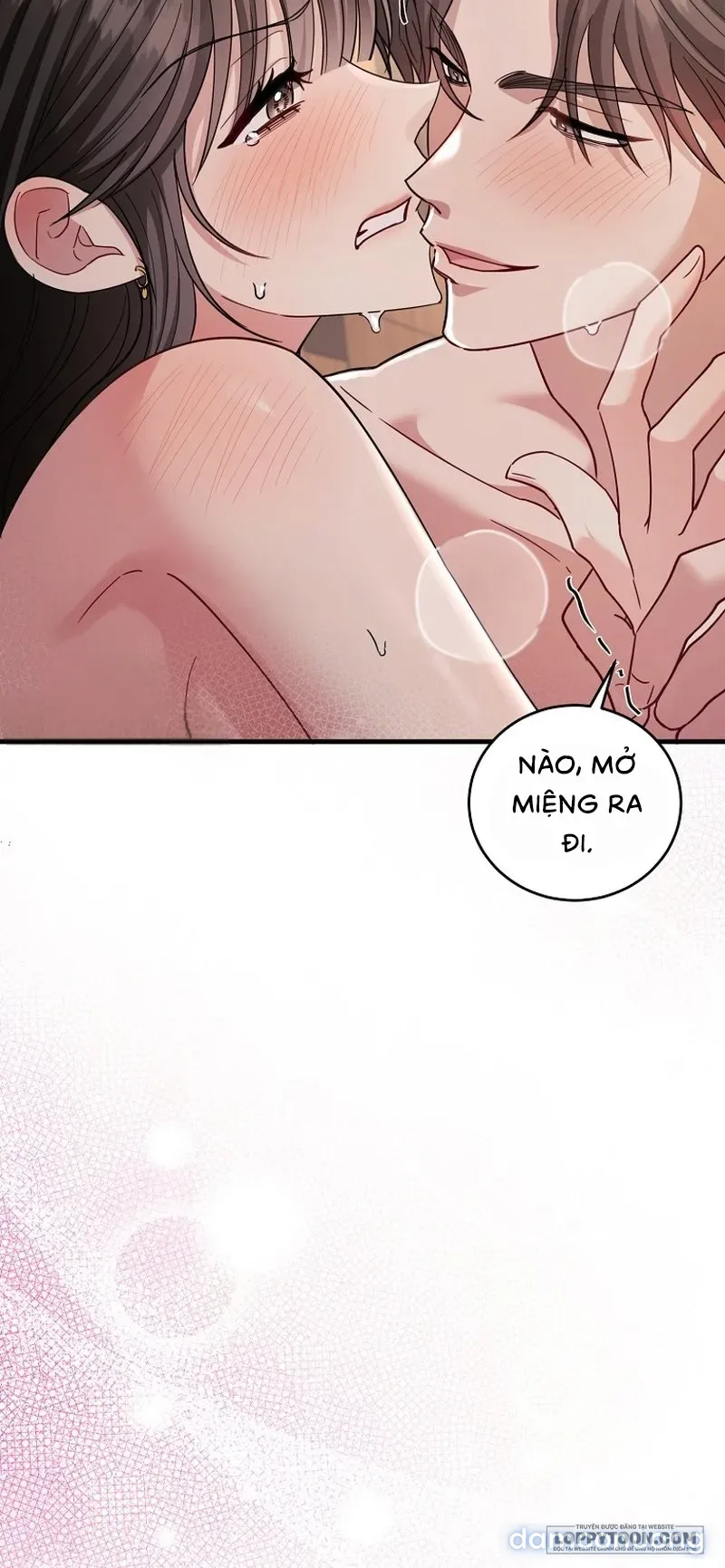 Mùa Xuân Của Shin Yu 