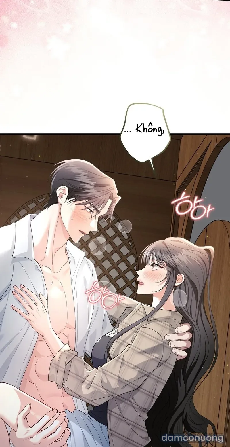 Mùa Xuân Của Shin Yu 
