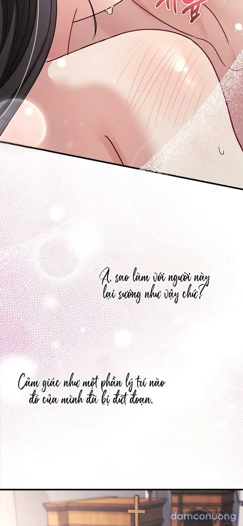 Mùa Xuân Của Shin Yu 