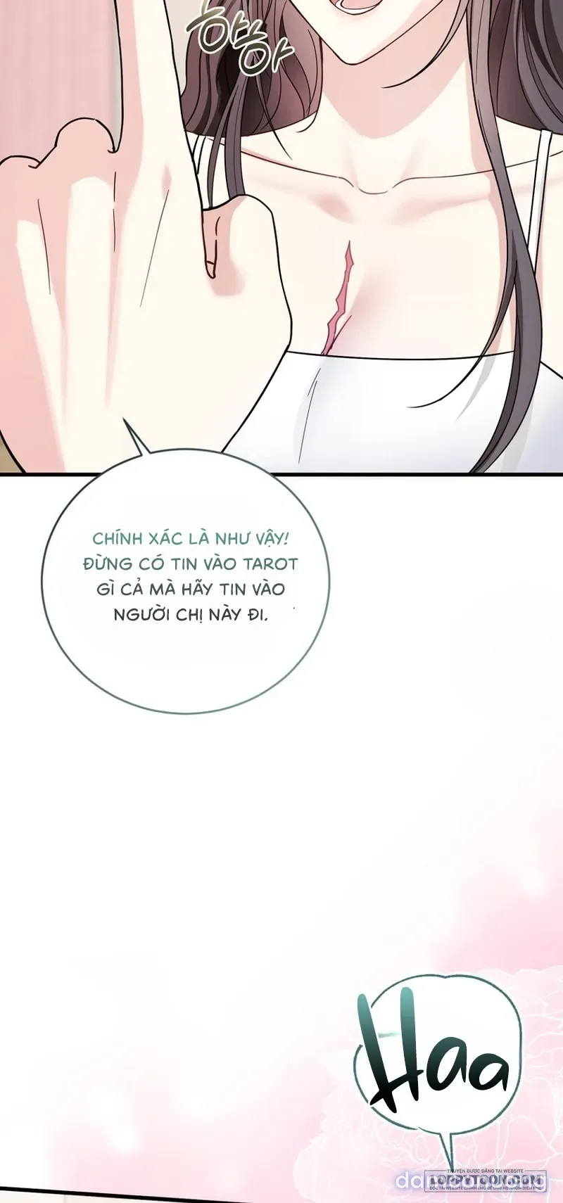 Mùa Xuân Của Shin Yu 