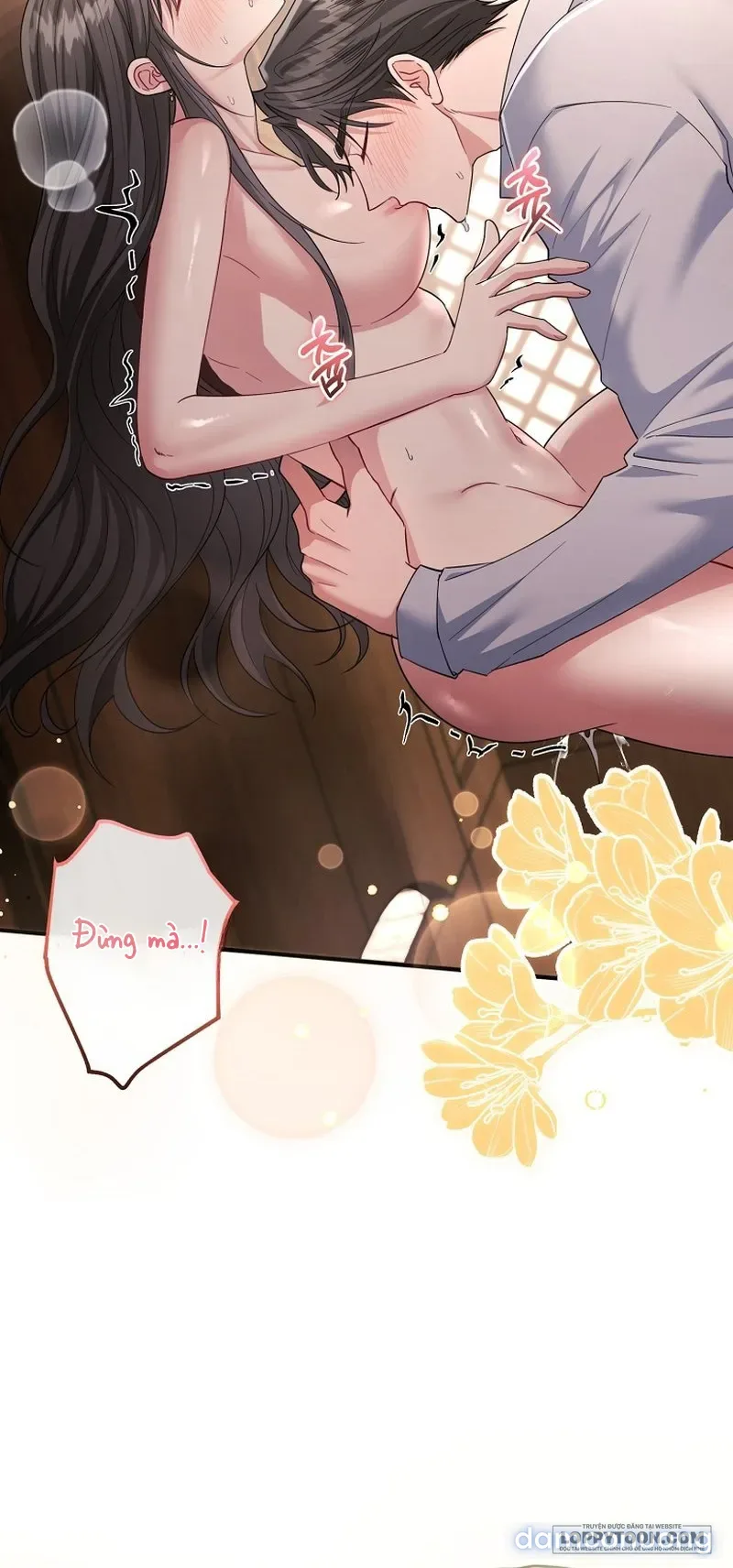 Mùa Xuân Của Shin Yu 