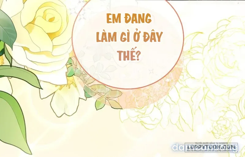 Mùa Xuân Của Shin Yu 